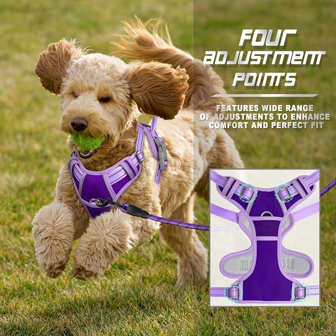 BARKBAY Dog Harness No Pull for Small Sized Dog Front Back Clips,Dog Vest | Soft Padded No Choke With Handle,Easy On&Off,Adjustable Reflective For Walking Training Running(Violet Purple & Purple,XS)