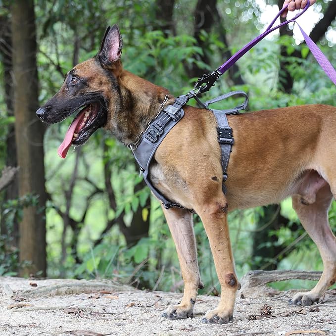 ICEFANG Dog Halter Harness with Metal Buckles,Dog Strap Vest for Large Dogs | Control Handle,Summer-Cooling,Reflective,Front Hook,Adjustable,Soft Padded,No Pull,Grey,Large