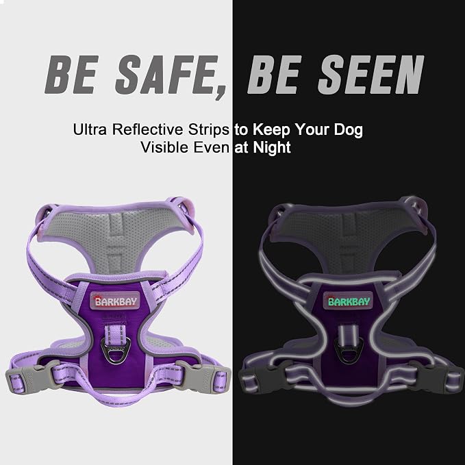 BARKBAY Dog Harness No Pull for Medium Sized Dog Front Back Clips,Dog Vest | Soft Padded No Choke With Handle,Easy On&Off,Adjustable Reflective For Walking Training Running(Violet Purple & Purple,M)