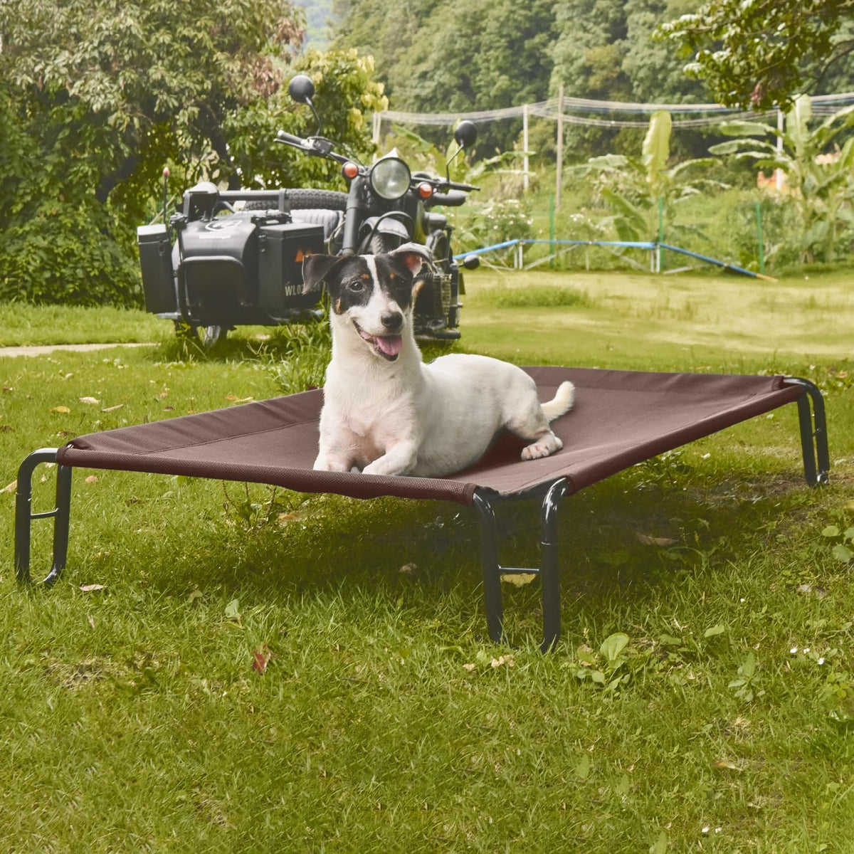 pettycare Elevated Outdoor Dog Bed - Cots Beds for Medium Dogs, Waterproof, Raised Cot, Easy to Assemble, Cooling with Teslin Mesh, Durable, Non Slip, Up to 40 lbs, Brown