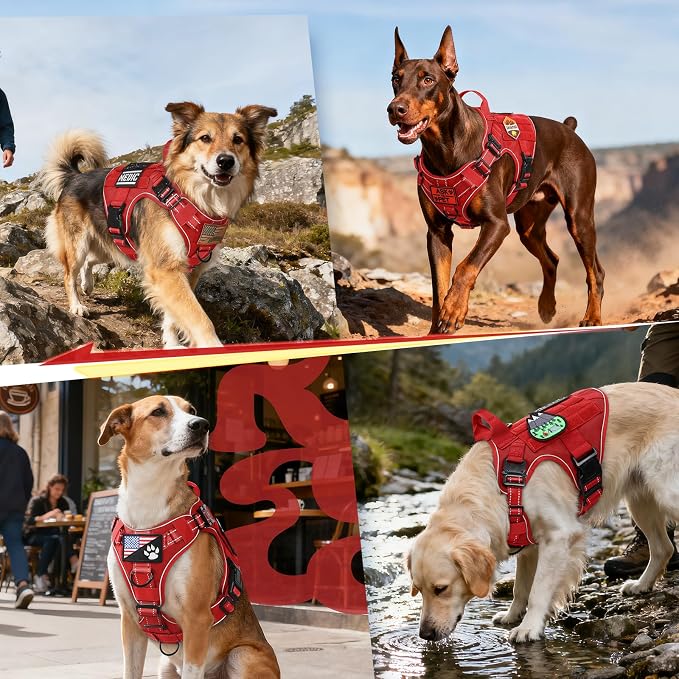 rabbitgoo Tactical Dog Harness for Large, Heavy Duty Military No Pull Vest | Sturdy Metal Buckles, 5 Adjustments, Molle System, Powerful Pullers for Training, Hunting, Outdoor, Red Reflex, Large