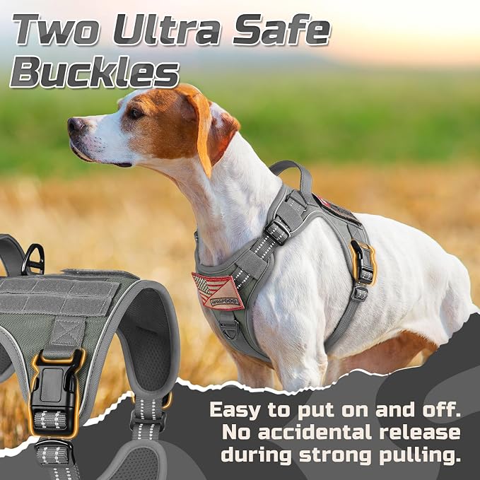 rabbitgoo Tactical Dog Harness for Large, No Pull Military Service Vest | Molle & Handle, Heavy Duty, Adjustable, Reflective Straps, Easy Control for Training Walking, Grey, Large
