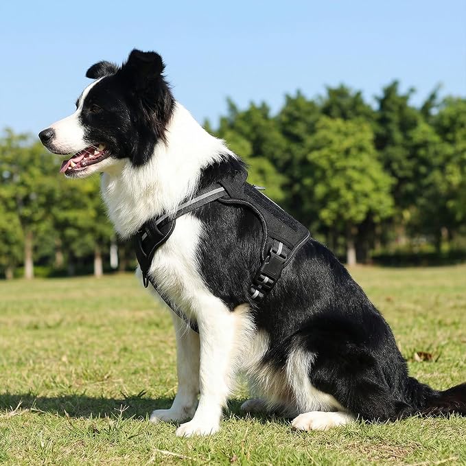Amazon Basics No-Pull Dog Harness, Adjustable Front Clip, Tactical Vest, Escape Proof, Large, Black
