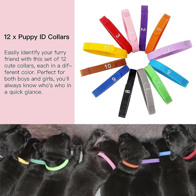 SQUARECIRCLE Complete Dog Whelping Kit with Feeding Nipple, Record Keeping Charts, ID Collars, Aspirator, Cord Clamps & More - Essential for Newborn Puppies (Red no pad)