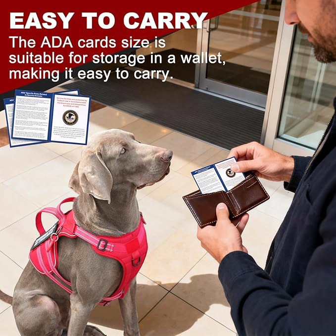 Service Dog Harness + ID Tag 50 ADA Information Cards - No Pull Dog Vest 10 PCS Removable Patches - Reflective Emotional Support Animal Vest for Large Dogs - Adjustable Breathable ESA Training Vest