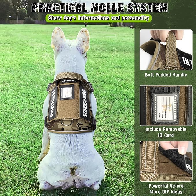 Tactical Service Dog Vest and Leash Set with 10 Patches Camo S | Adjustable No Pull Service Dog Harness for Small Sized Dog with Dog Seat Belt,Reflective Easy Walk for Training Hiking