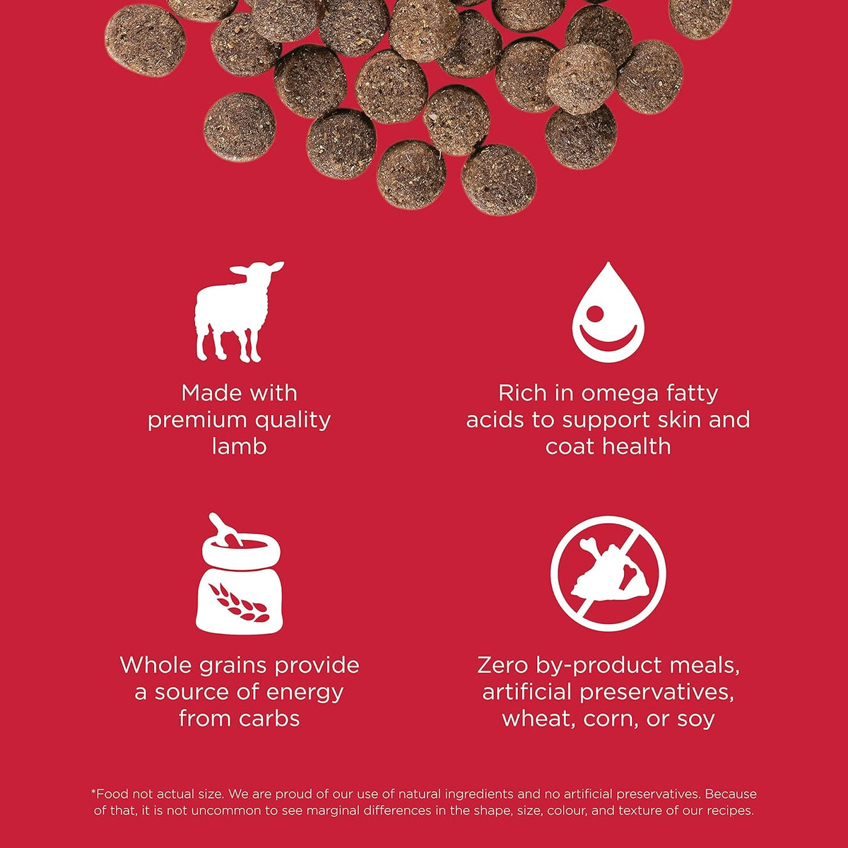 Go! Solutions Skin + Coat Care, Dry Dog Food, Lamb Recipe with Grains, 22 lb Bag