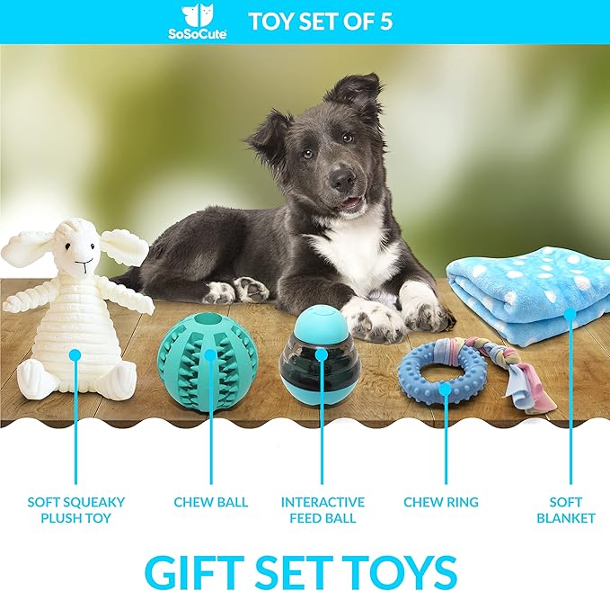SoSoCute Blue Dog Gift Box - Puppy Chew Toy Set of 5 - Care Package with Dog Blanket, Squeaky Plush, Rubber Puppy Teether, Teething Ball, and Treat Ball for Small and Medium Dogs