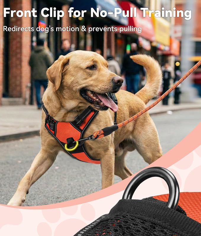 Joytale No Pull Dog Harness for Small Dogs, Front Clip, Orange | Grab Handle for Instant Control, Padded & Adjustable Vest, Sturdy Metal D-Rings, for Safe Training & Daily Walking
