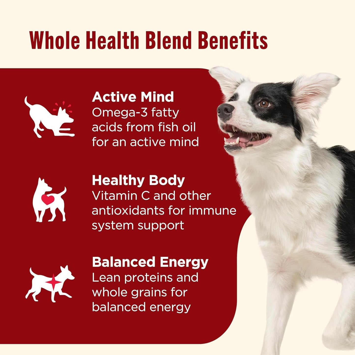 Nutrish Dry Dog Food, Real Beef, Pea & Brown Rice Recipe Whole Health Blend for Adult Dogs, 6 lb. Bag (Rachael Ray)