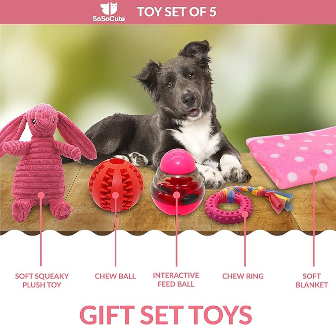 SoSoCute Pink Dog Gift Box - Puppy Chew Toy Set of 5 - Care Package with Dog Blanket, Squeaky Plush, Rubber Puppy Teether, Teething Ball, and Treat Ball for Small and Medium Dogs