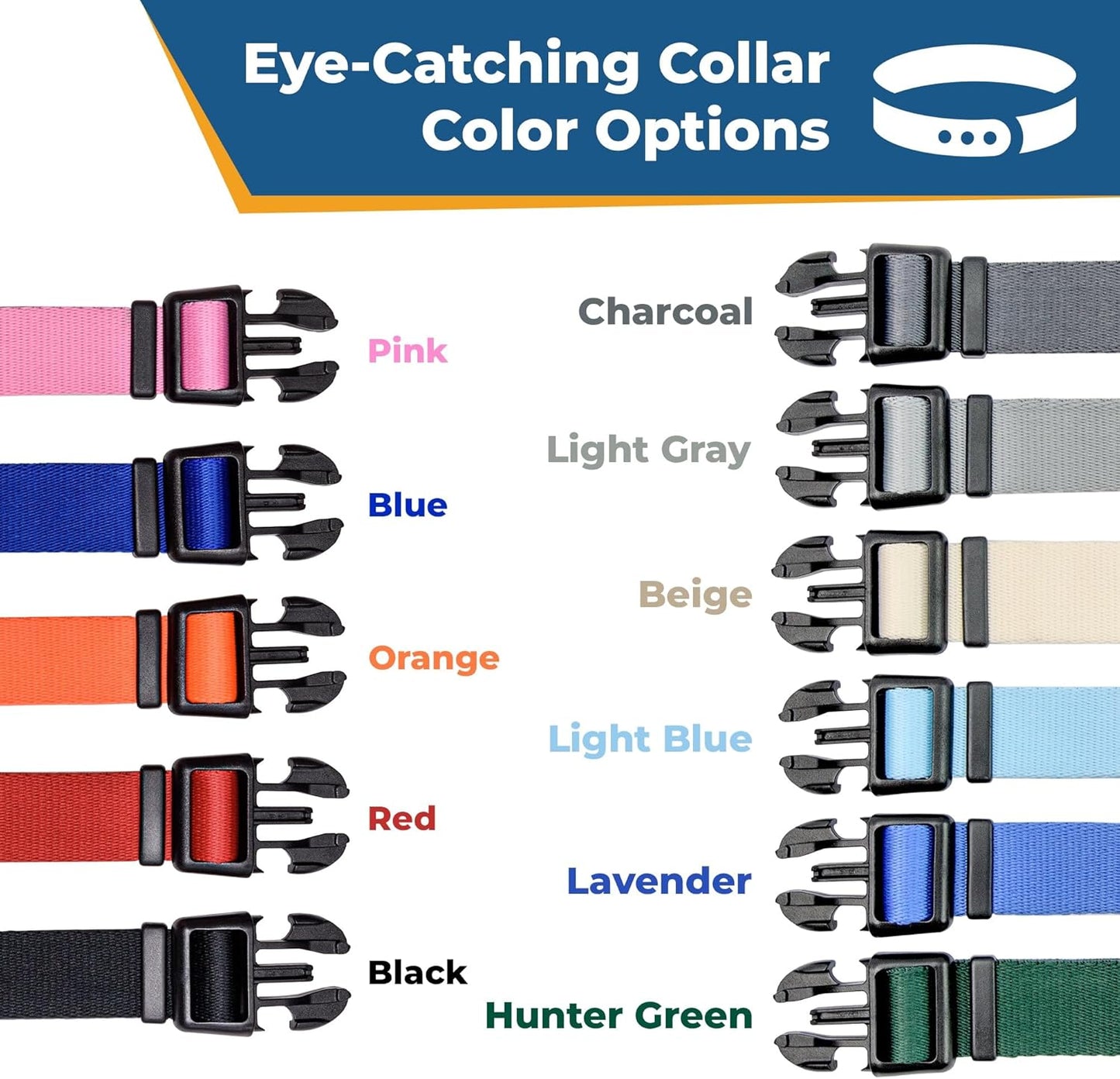 GoTags Reflective Personalized Dog Collar with Nameplate, Adjustable Dog Collar with Custom Engraved Steel Slide On Pet ID Tag, Silent, No Noise Dog Tag for Large Medium or Small (Light Blue, Medium)