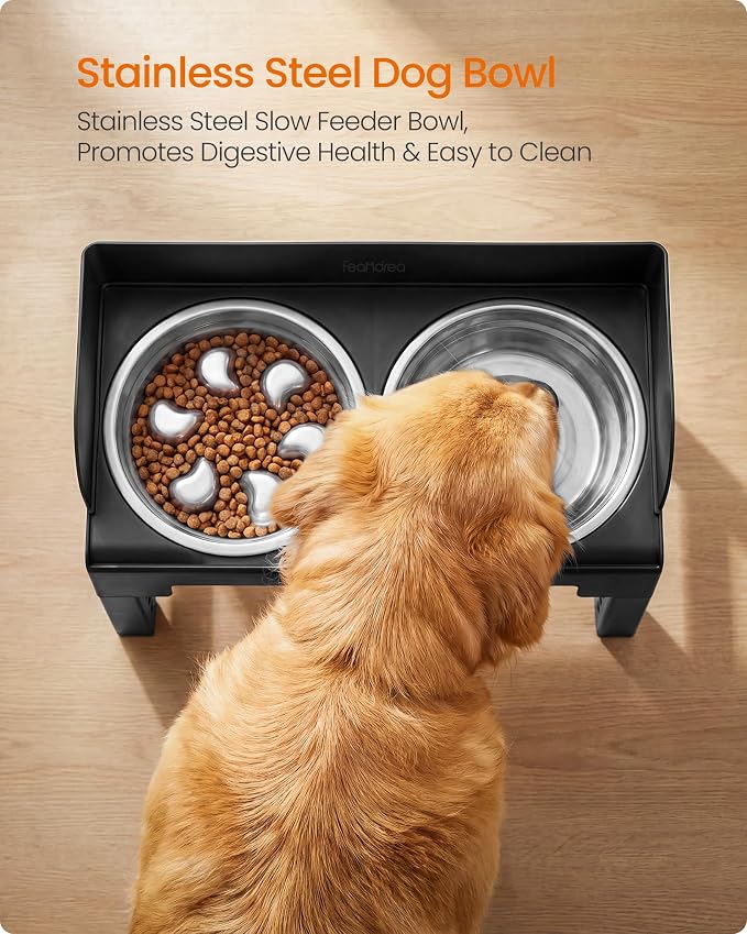 Feandrea Dog Bowls Elevated, Adjustable Height, Tilted Design | Raised Stand, 1 Slow Feeder, Two 304 Stainless Steel Bowls, Ink Black, BOXAL Collection UPRB104B101