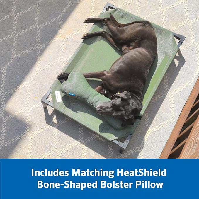 Coolaroo Pro Elevated Dog Bed with HeatShield Fabric – Advanced Cooling Raised Cot for Small & Medium Breeds, Easy-Clean, Low-to-Ground Access, Bonus Bolster Pillow – Everglade Green