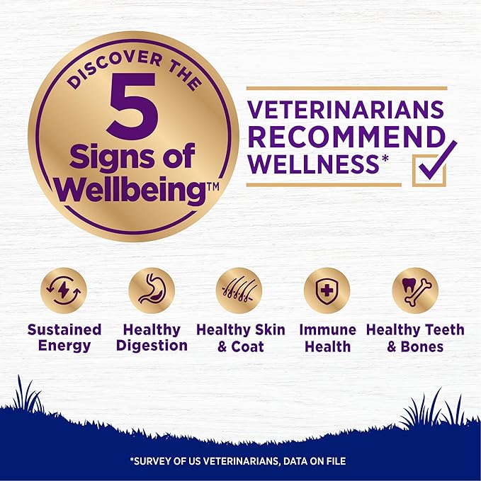 Wellness Natural Pet Food Complete Health Natural Dry Large Breed Puppy Food, Chicken, Salmon & Rice, 30-Pound Bag