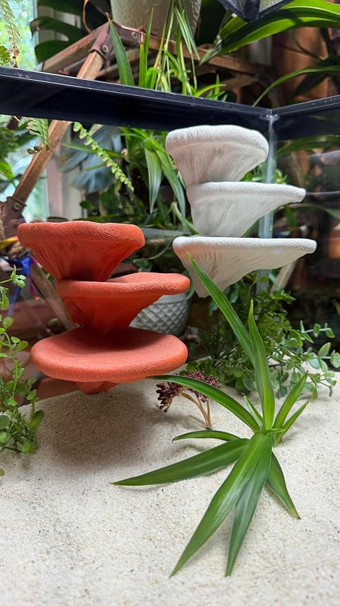 Mushroom Ledge for Terrarium – Climbing & Resting Platform with Suction Cups (Terracotta, 6''x4.5''x5.25'')