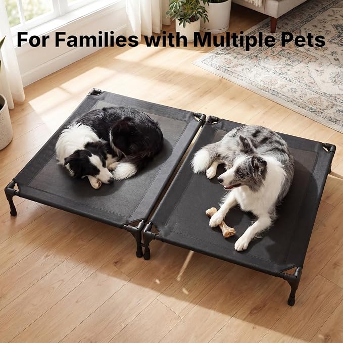 Veehoo Cooling Elevated Dog Bed, Outdoor Raised Dog Bed for Two Dogs | Indoor Pet Cot with Breathable Teslin Mesh & Anti-Slip Feet, Durable Double Dog Bed for Multi-Pet Homes, 42" x 30", Black