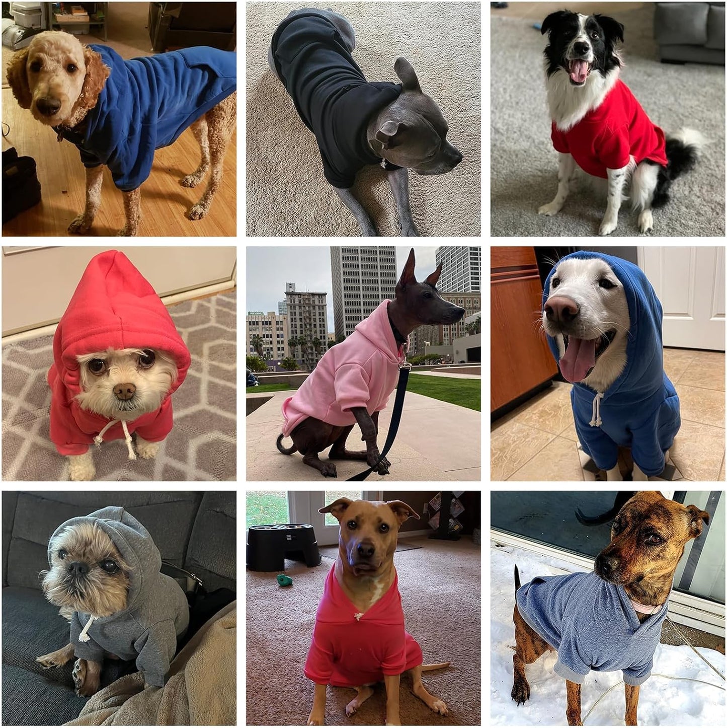 KOOLTAIL Basic Dog Hoodie - Soft and Warm Dog Hoodie Sweater with Leash Hole and Pocket, Dog Winter Coat, Cold Weather Clothes Sweatshirt for Small Medium Large Dogs Puppy Cat Boys Girls Blue SM