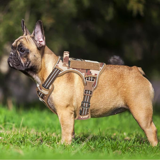Beebiepet Heavy Duty Tactical Dog Harness for Small Dogs, No Pull Adjustable Pet Harness Reflective Service Training Easy Control Pet Vest Military K9 Working Dog Harnesses- Medium, Desert Camo