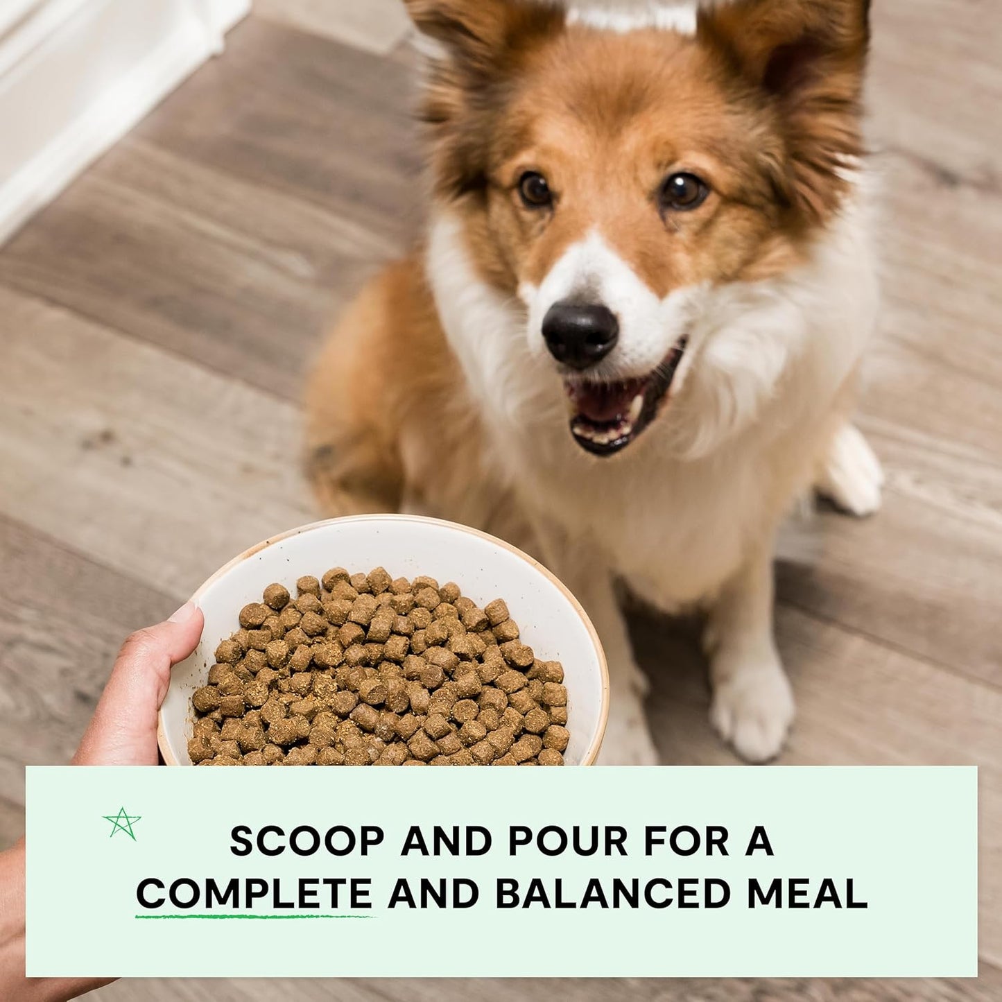 Open Farm, Grain-Free Dry Dog Food, Complete & Balanced Kibble, Sustainably & Ethically Sourced Ingredients, Non-GMO Veggies & Superfoods to Support Overall Health, Wild-Caught Salmon Recipe, 4lb Bag