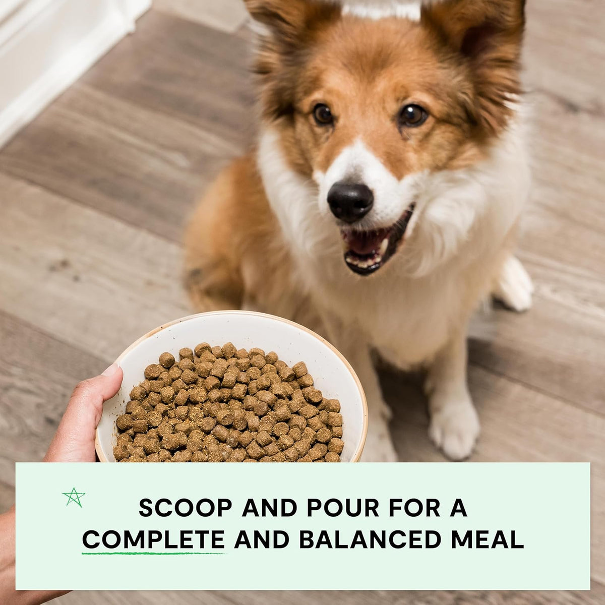 Open Farm, Grain-Free Dry Dog Food, Complete & Balanced Kibble, Sustainably & Ethically Sourced Ingredients, Non-GMO Veggies & Superfoods, Catch-of-The-Season Whitefish Recipe, 22lb Bag