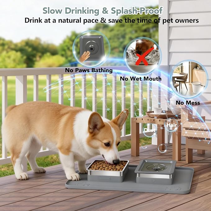 Dog Bowl Set, No Spill Dog Water and Food Bowl with Silicone Mat | Large Capacity 304 Stainless Steel Bowls, 2-In-1 Set, Slow Drinking, Anti-Slip Silicone Feeding Mat, Home/Travel, 6-7 Cups