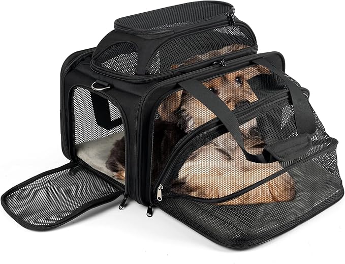 pidipiti top and 1 Side Expandable, 17x11x11 Soft-Sided pet Carrier, TSA and American/Delta/United Airline Approved,for Small Dog/Puppy/cat underseat in Airplane and Vet.