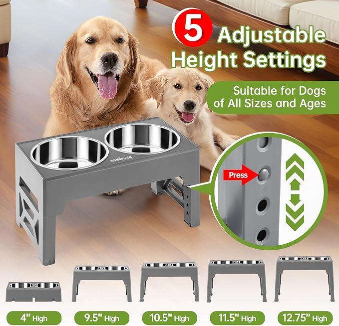 EliteField Elevated Dog Bowls, 2 Stainless Steel Bowls (2-Year Warranty) | 58 oz Bowls, 5 Adjustable Heights, Small to Large Dogs, Foldable, Dishwasher Safe, Anti-Slip Feet