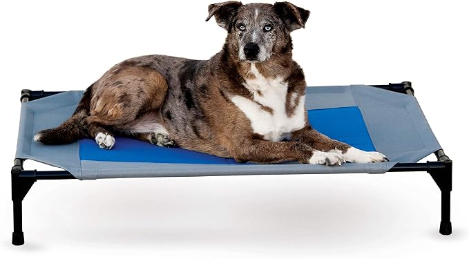 K&H Pet Products Coolin' Pet Cot Elevated Pet Bed Gray/Blue Large 42 X 30 X 7 Inches