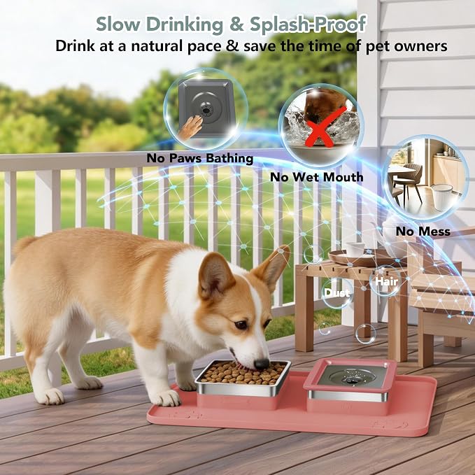 Dog Bowl Set, No Spill Dog Water and Food Bowl with Silicone Mat | Large Capacity 304 Stainless Steel Bowls, 2-In-1 Set, Slow Drinking, Anti-Slip Silicone Feeding Mat, Home/Travel, 6-7 Cups
