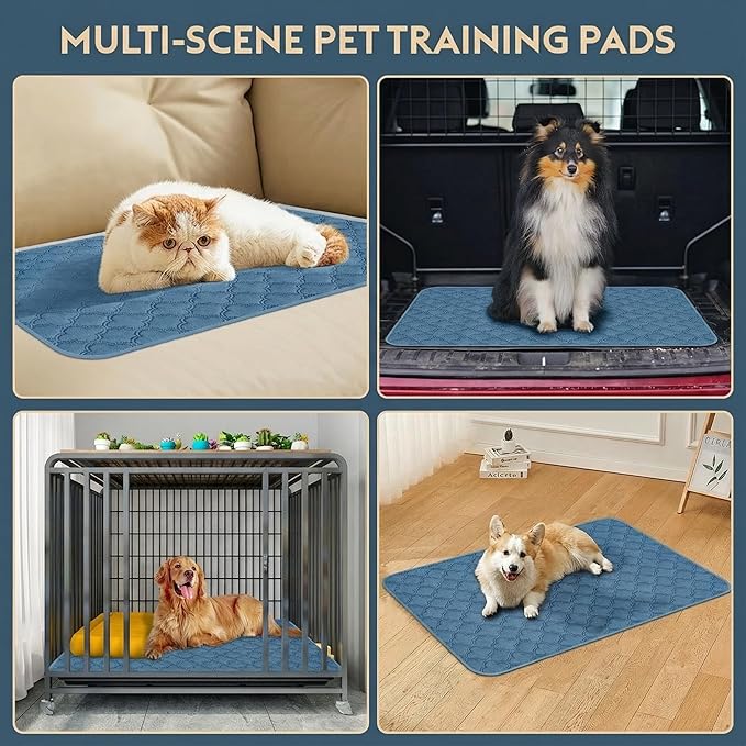 Washable Pee Pads for Dogs - 2 Pack Reusable Pee Pads，Waterproof Puppy Pads，Pet Training Pads，Super Absorbent with Dog Paw Shape Non-Slip Backing (Blue, 31" X 36" - 2 Pack)