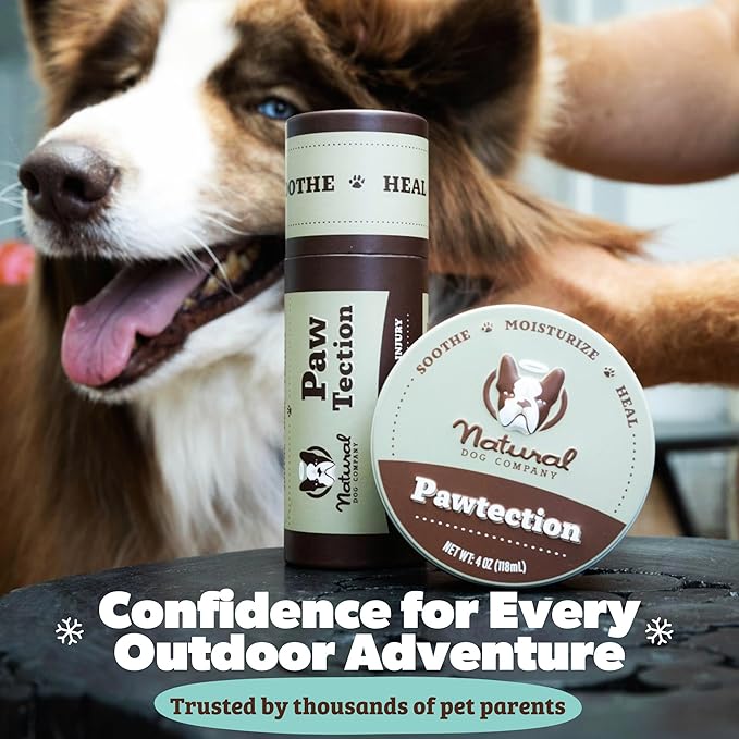 Natural Dog Company PawTection Balm for Dogs – Winter Paw Protection from Snow, Ice & Salt, Wax-Based Paw Barrier Balm, All Breeds for Cold Weather Walks & Outdoor Adventures, Lick-Safe, 2 oz Stick