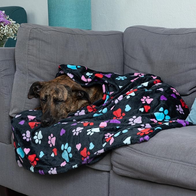 Pet Dog Cat Blanket Ultra Soft Cozy Fleece Paw Print Design Machine Washable Durable for Crates Beds Sofas Travel (Sweetheart Paws, Medium)