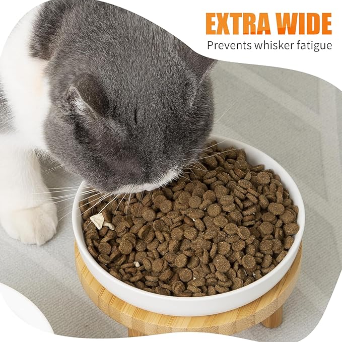 Lusifaco Shallow Elevated Cat Bowls,5.9 Inch Wide Raised Ceramic Cat Dishes with Bamboo Stand, Whisker Friendly Pet Water or Food Plates Feeding Station for Indoor Cats, Kitten(Pink,Set of 1)