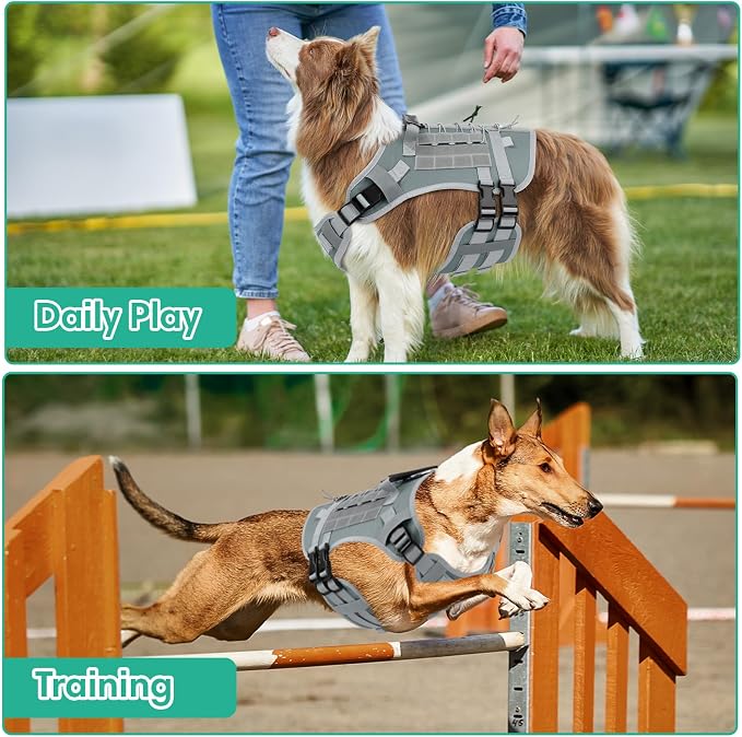 YooxArmor No Pull Dog Harness and Leash Set, Tactical Adjustable for Small Sized Dog, Easy Walk Soft Vest Padded Oxford for Training Hiking (Gray-S)