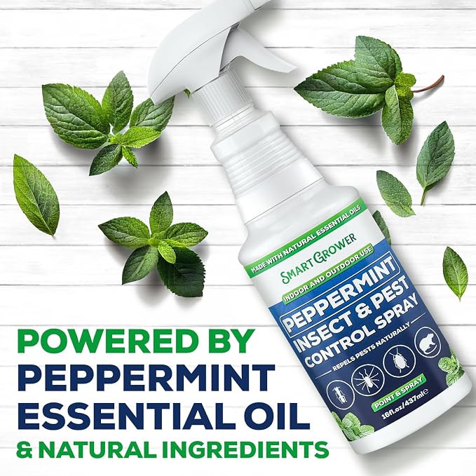 Peppermint Oil Spray for Insects, Pests, Rodents, Mice, Bugs, Spiders, Ants & Wasps - All Natural Pest Control Repellent for Home, Indoor, Outdoor, Garden, Maximum Strength, Ready-to-Use, 16 FL OZ