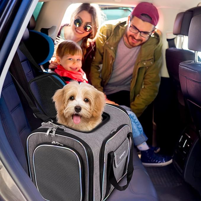 Airline Approved Cat Carrier Under Seat, 4-Way Expandable & Collapsible Soft-Sided Pet Carrier with Removable Fleece Pad - TSA Compliant for Cats, 18x11x11.5in Car & Plane Travel, Vet Visits