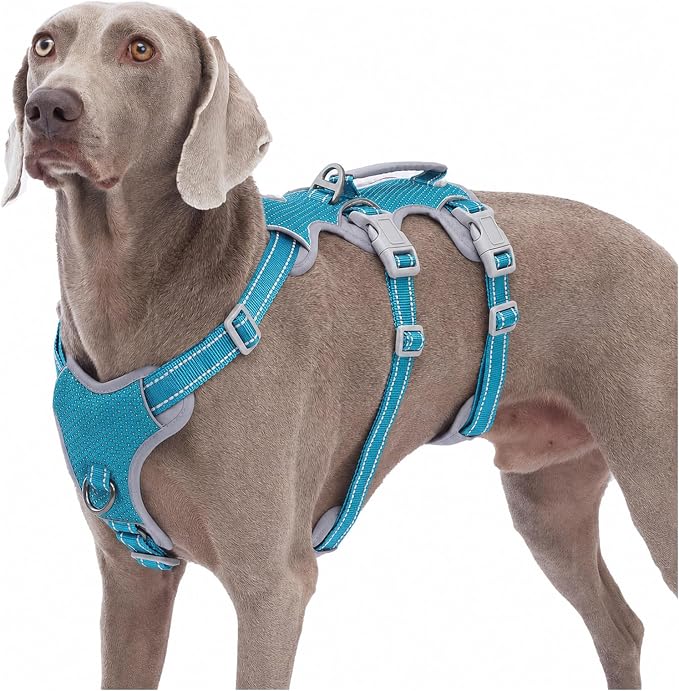 Escape Proof Dog Harness, No Pull Reflective Harness with Lift Handle, Adjustable Pet Vest with Front and Back Leash Clips for Small Medium Large Dogs Walking Hiking Training (Teal,XL)