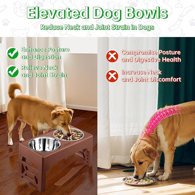 EliteField Elevated Dog Bowls, 2 Stainless Steel Bowls (2-Year Warranty) | 58 oz Bowls, 5 Adjustable Heights, Small to Large Dogs, Foldable, Dishwasher Safe, Anti-Slip Feet
