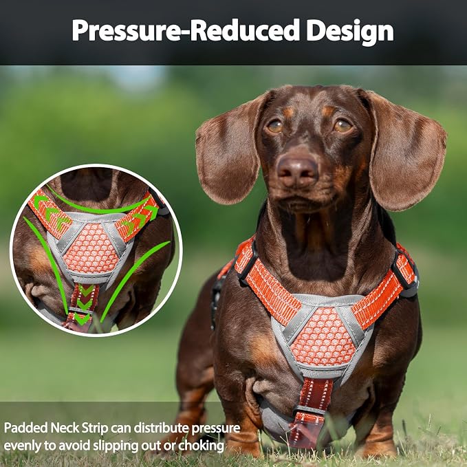Escape Proof Dog Harness, Dachshund Harness, Reflective Dog Harness with Handle, Durable,Adjustable Vest for Small Medium Large Dogs Walking, Training, and Running Gear (Orange,S)