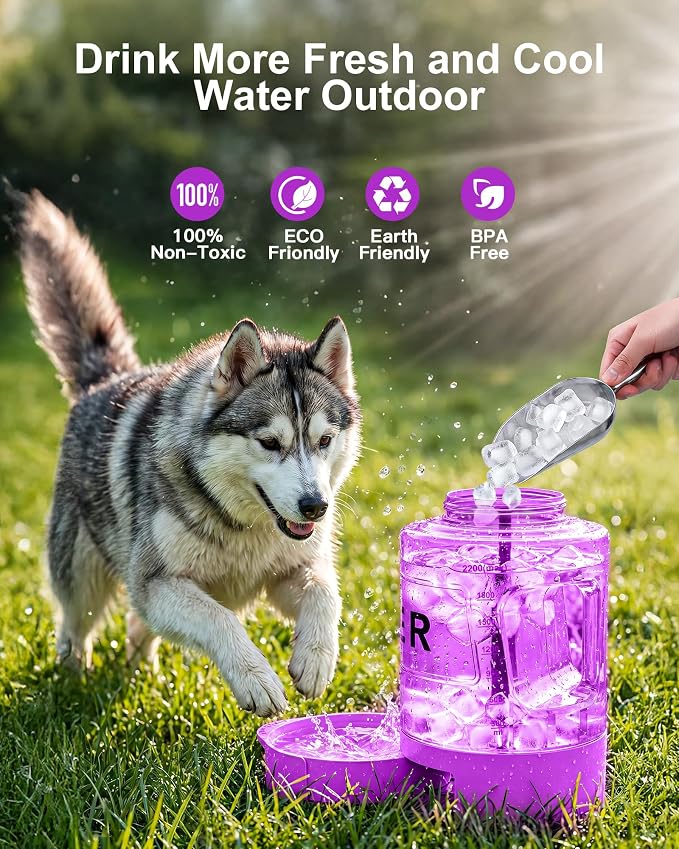 77oz Dog Water Dispenser, 2.2L Large Portable Dog Water Bottle with Pull-Out Drinking Bowl, BPA Free Leak-Proof Pet Travel Water Container for Camping, Hiking, Beach, Car Travel Essentials- Purple