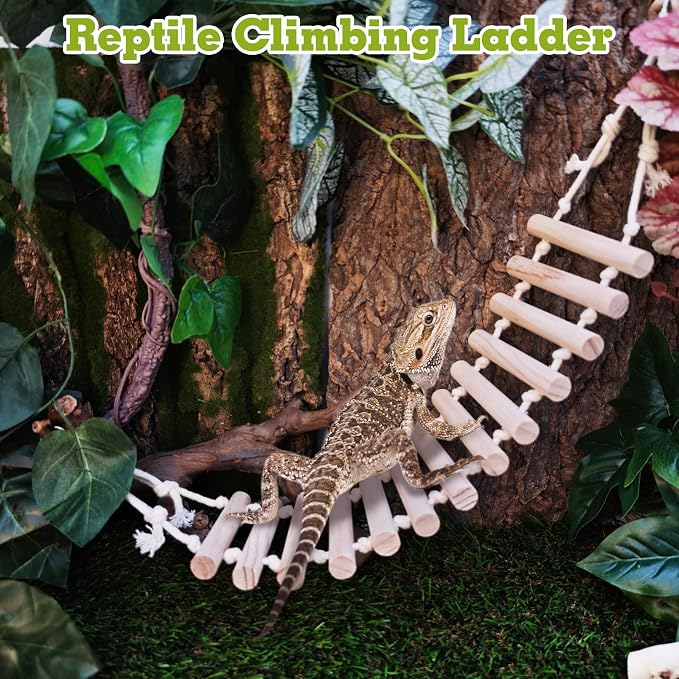 VCEPJH Reptile Bridge Leopard Gecko Climbing Ladder Wooden Basking Lounger Reptile Tank Accessories for Crested Gecko Bearded Dragon Hermit Crab Turtle Chameleon Lizard Tree Frog (2 Pcs)