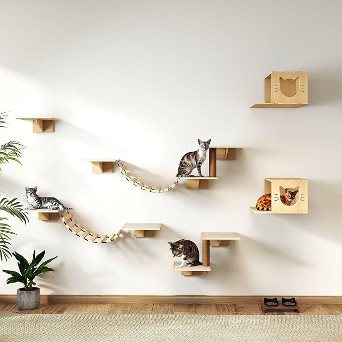 NYEEKOY Cat Wall Shelves, Wood 8-in-1 Cat Wall Furniture Set, Large Cat Shelves for Wall with Scratching Post, Cat Climbing Wall Activity Center for Climb, Play, Rest, and Scratch, Natural Wood