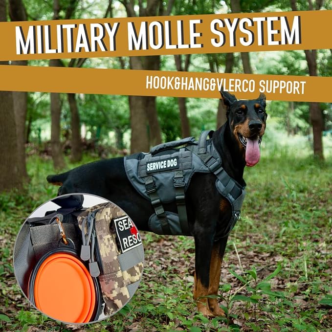 Service Dog Vest for Large Dogs, Grey Tactical Harness with Military MOLLE, Breathable Mesh & 39g Metal Buckle - Size XL for Training & Hiking