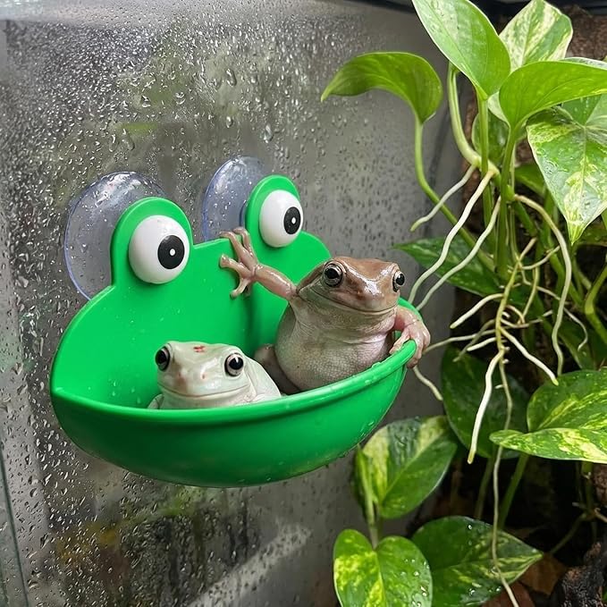 2pcs Frog Habitat with Suction Cup Frog Dish Holder Cute Fish Tank Decoration Lovely Suction Cup Soap Dish Holder Frogs Terrarium Decor for Tree Frogs Tadpole Small Aquatic Animal