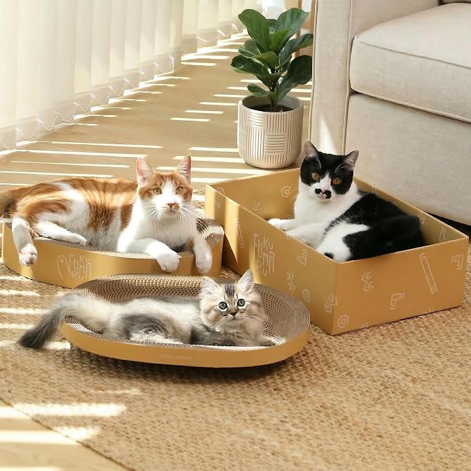 FUKUMARU 3PCS Cardboard Cat Scratcher Bed, Durable Oval Cat Scratch Pads | Round Cats Scratching Board Set, Large Scratcher Box for Indoor Cats, Kitten Scratcher Bowl, Couch Sofa Furniture Protector