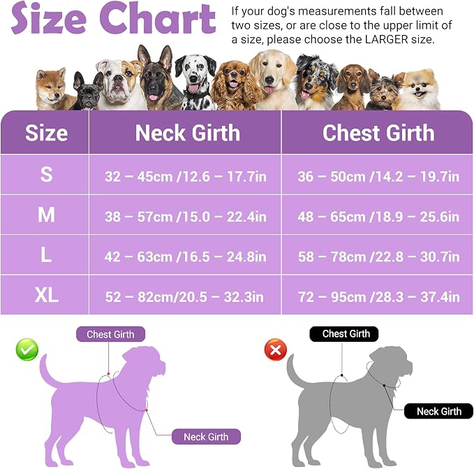 Dog Harness No Pull, Adjustable Pet Vest Harness, Super Soft Material with Vertical Handle Easy Control, Reflective Night Walking, 2 Leash Clips for XLarge Dogs, Purple, XL