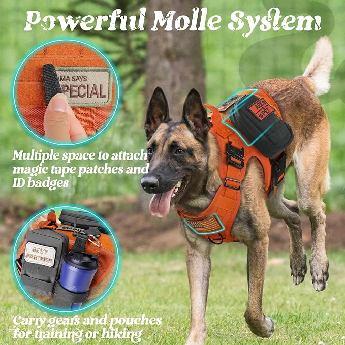 rabbitgoo Tactical Dog Harness for Large, Heavy Duty Military No Pull Vest | Sturdy Metal Buckles, 5 Adjustments, Molle System, Powerful Pullers for Training, Hunting, Outdoor, Orange, Large