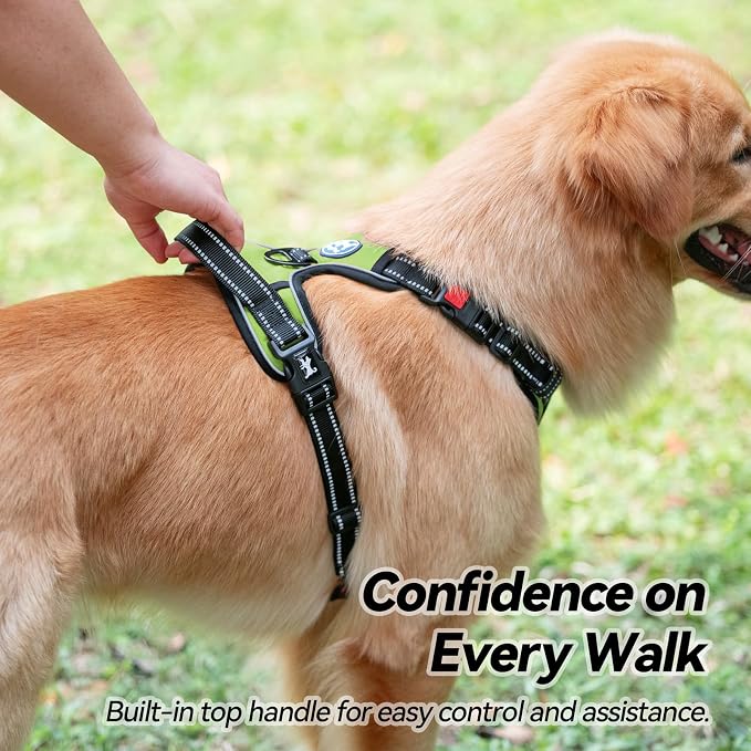 PoyPet No Pull Dog Harness Large with Front Clip & Neck Release Buckle | No Choke, Adjustable Vest, Reflective, Back Clip, Lockable, Soft Padded, Easy Control Handle for Walking Training, L, Green
