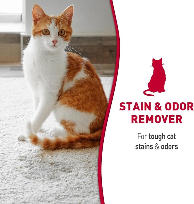 Nature's Miracle Cat Stain & Odor Remover Foam, Tough On Cat Urine, Feces, Vomit, Drool and Other Organic Stains and Odors, 17.5 oz